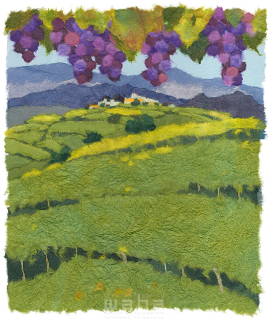 イラスト＆写真のストックフォトwaha（ワーハ）　クラフト、ちぎり絵、風景、日本、田舎、地方、自然、木、草、果物、ぶどう、葡萄、秋の味覚、果樹園、季節、秋、故郷、山、生活、農家、農業　彦坂 禮三　20-0249c