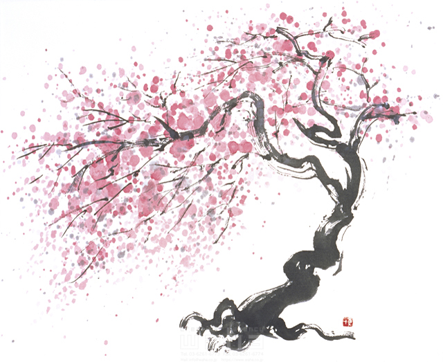 イラスト＆写真のストックフォトwaha（ワーハ）　水墨画、自然、ナチュラル、花、桜、満開、和、和風、淡い、木、美、日本、春　増山 博　3-0598c