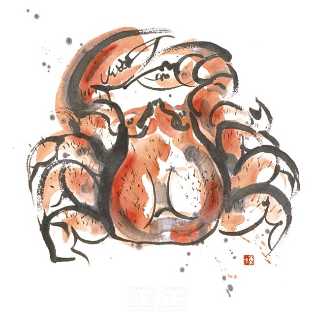 水墨画 自然 ナチュラル 生き物 蟹 海 和風 パワフル 勇ましい 力強い 日本 海の幸 食べ物 食材 イラスト作品紹介 イラスト 写真のストックフォトwaha ワーハ カンプデータは無料