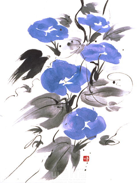 水墨画 自然 ナチュラル 花 あさがお 満開 和 和風 淡い 美 日本 夏 イラスト作品紹介 イラスト 写真のストックフォトwaha ワーハ カンプデータは無料
