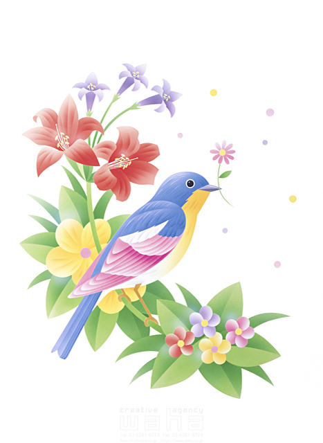 イラスト＆写真のストックフォトwaha（ワーハ）　植物、自然、花、鳥、春、イメージ、エコロジー、平和　カネヒラ・ヤスコ　4-1051c