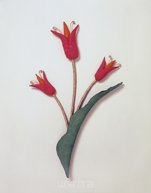 イラスト＆写真のストックフォトwaha（ワーハ）　クラフト、花、植物、チューリップ、春　永井 淑美　5-1136a