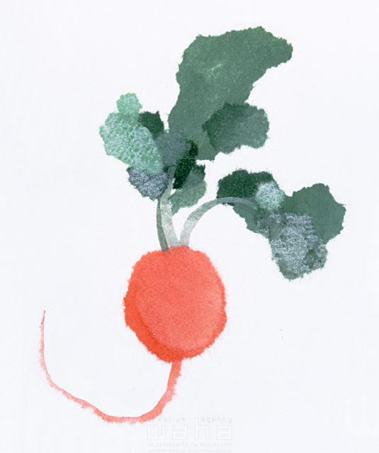 クラフト ちぎり絵 素朴 食材 野菜 赤かぶ 食事 ラディッシュ イラスト作品紹介 イラスト 写真のストックフォトwaha ワーハ カンプデータは無料