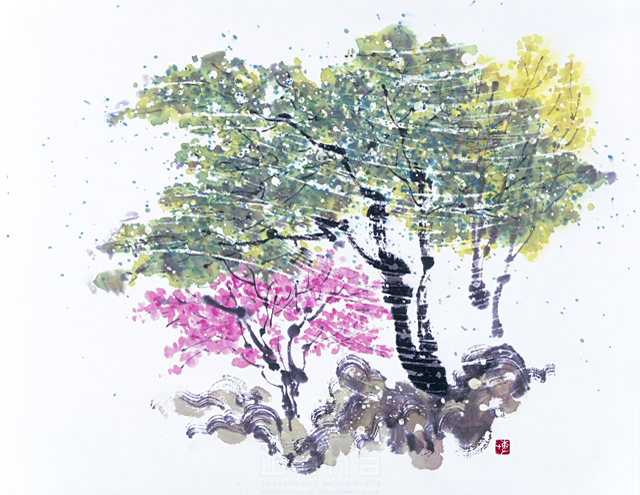 イラスト＆写真のストックフォトwaha（ワーハ）　水墨画、自然、ナチュラル、花、緑、樹木、桜、満開、和、無人、淡い、エコロジー　増山 博　5-2720b