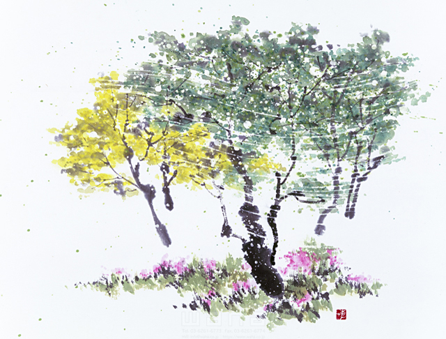 イラスト＆写真のストックフォトwaha（ワーハ）　水墨画、自然、ナチュラル、緑、樹木、無人、淡い、エコロジー　増山 博　5-2721b