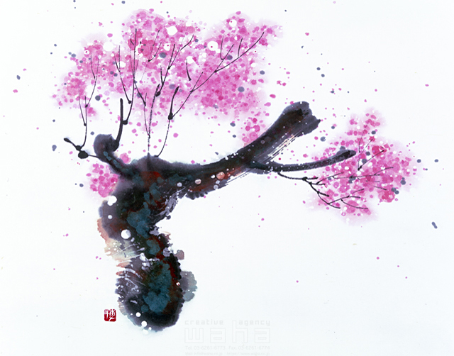 水墨画 自然 ナチュラル 花 桜 満開 和 無人 淡い エコロジー イラスト作品紹介 イラスト 写真のストックフォトwaha ワーハ カンプデータは無料