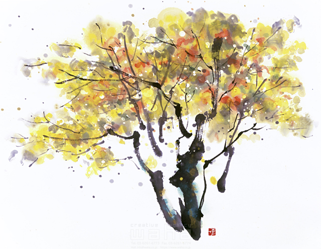 水墨画 自然 ナチュラル 銀杏 イチョウ 樹木 紅葉 和 無人 淡い エコロジー イラスト作品紹介 イラスト 写真のストックフォトwaha ワーハ カンプデータは無料
