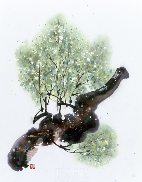 イラスト＆写真のストックフォトwaha（ワーハ）　水墨画、自然、ナチュラル、樹木、緑、和、無人、淡い、エコロジー　増山 博　5-2726b