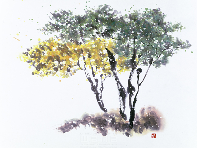 イラスト＆写真のストックフォトwaha（ワーハ）　水墨画、自然、ナチュラル、樹木、紅葉、和、無人、淡い、エコロジー　増山 博　5-2727b