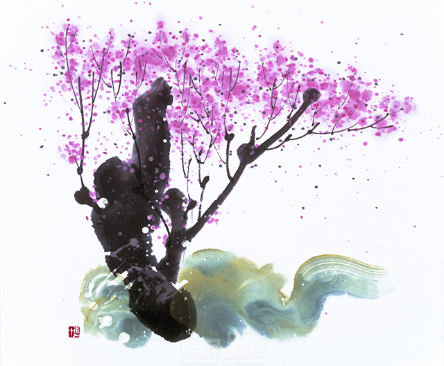 イラスト＆写真のストックフォトwaha（ワーハ）　水墨画、自然、ナチュラル、花、桜、桜ふぶき、満開、和、無人、エコロジー　増山 博　5-2730b