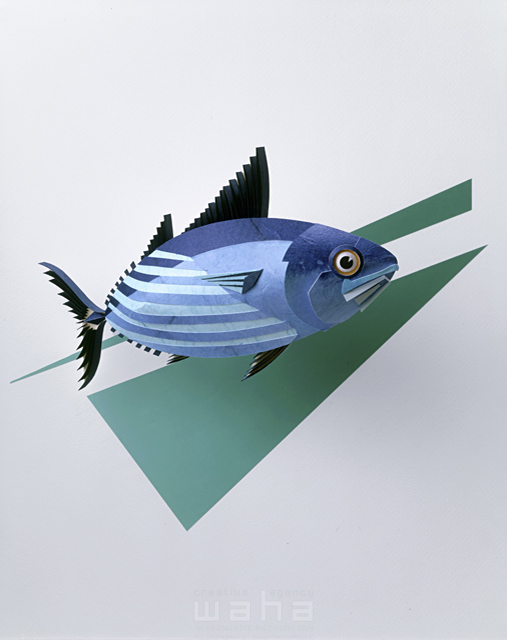 魚 生き物 自然 海 生命 マグロ カツオ ペーパークラフト ナチュラル エコロジー イラスト作品紹介 イラスト 写真のストックフォトwaha ワーハ カンプデータは無料