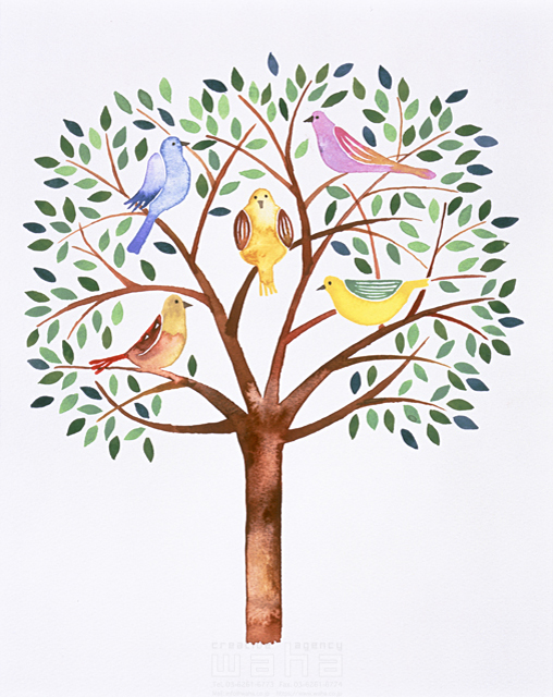 イラスト＆写真のストックフォトwaha（ワーハ）　木、植物、緑、エコ、トリ、鳥、とり、家族、平和、成長、やすらぎ　ささき みえこ　6-2220b