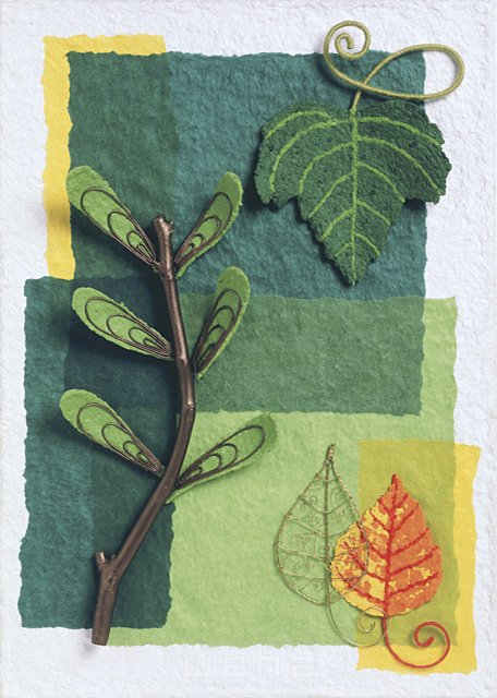 イラスト＆写真のストックフォトwaha（ワーハ）　エコロジー、ナチュラル、樹木、葉、花、果実、クラフト　YOSHIMI　8-1077b