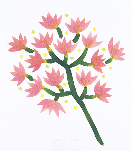 イラスト＆写真のストックフォトwaha（ワーハ）　樹木、葉、花、果実　eka　8-1651b