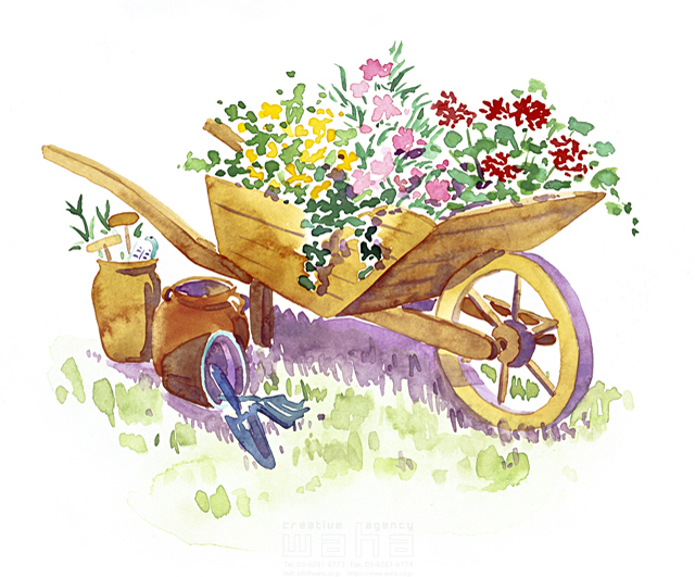 イラスト＆写真のストックフォトwaha（ワーハ）　ガーデンライフ、花、インテリア、樹木、葉、花、果実、水彩　関上 絵美　8-2150b