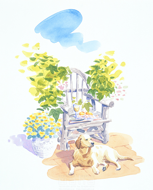 イラスト＆写真のストックフォトwaha（ワーハ）　ガーデンライフ、ペット、犬、イヌ、いぬ、水彩　タカヒロ　9-0754b