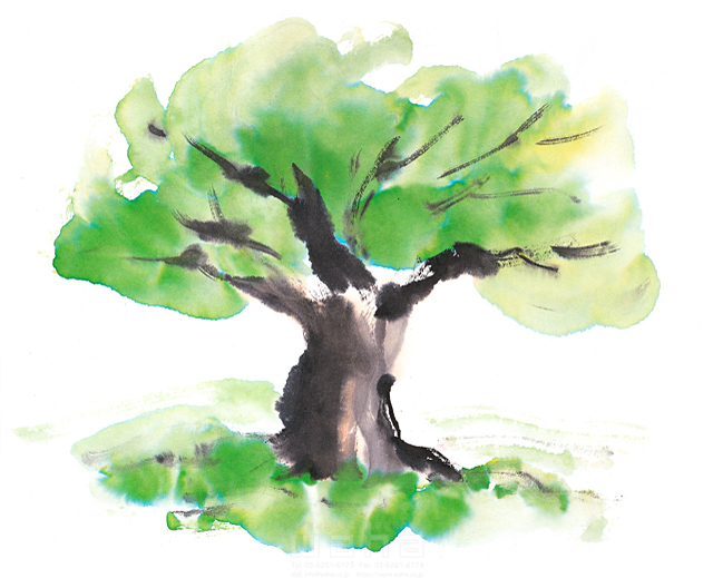 イラスト＆写真のストックフォトwaha（ワーハ）　自然、風景、樹木、葉、花、果実　庄司 美紀子　9-0817b