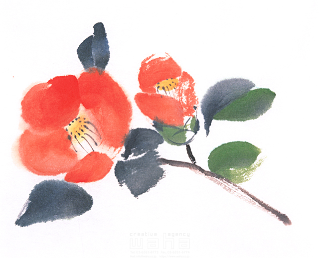イラスト＆写真のストックフォトwaha（ワーハ）　樹木、葉、花、果実　庄司 美紀子　9-0818b
