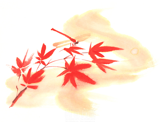 イラスト＆写真のストックフォトwaha（ワーハ）　樹木、葉、花、果実、秋、もみじ、紅葉、椛　庄司 美紀子　9-0824b
