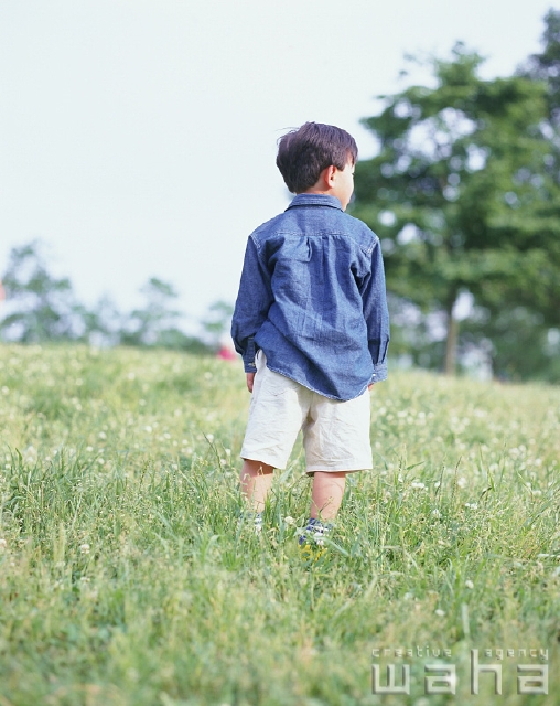 人物 日本人 子供 公園 屋外 後ろ姿 全身 草原 遊ぶ 空 のどか あそぶ あそび 遊ぶ 遊び 後姿 後ろ姿 うしろ姿 背中 子ども こども フォト作品紹介 イラスト 写真のストックフォトwaha ワーハ