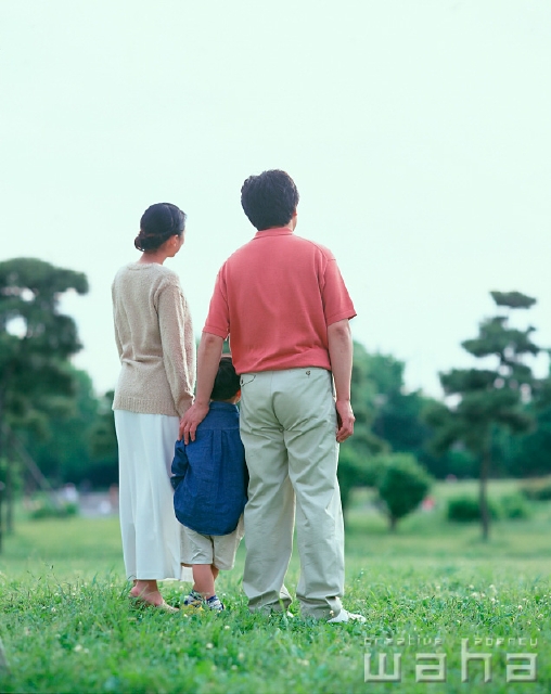 イラスト＆写真のストックフォトwaha（ワーハ）　人物、日本人、家族、公園、屋外、後ろ姿、全身、3人、男の子、散歩、草原、遊ぶ、眺める、見る、空、あそぶ、あそび、遊ぶ、遊び、後姿、後ろ姿、うしろ姿、背中　p2-0955a