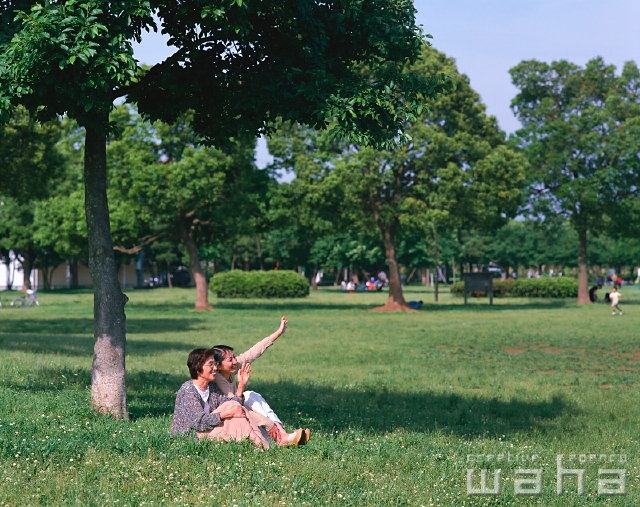 イラスト＆写真のストックフォトwaha（ワーハ）　人物、日本人、親子、公園、屋外、横向き、横顔、全身、2人、休憩、散歩、草原、手を振る、樹木の下、親孝行、座る　p2-1094a