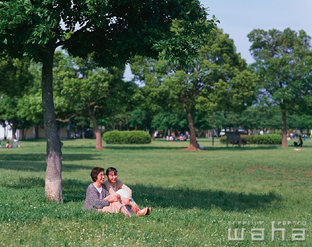 イラスト＆写真のストックフォトwaha（ワーハ）　人物、日本人、親子、公園、屋外、横向き、横顔、全身、2人、休憩、散歩、草原、樹木の下、親孝行、座る　p2-1095a