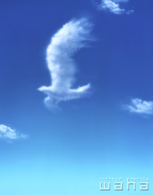 合成 屋外 風景 青空 雲 澄んだ空 夢 空中 ファンタジー メルヘン 幻想的 空想的 平和 幸福感 鳥 翼 羽根 羽ばたく 出発 舞う 自由 フォト作品紹介 イラスト 写真のストックフォトwaha ワーハ カンプデータは無料