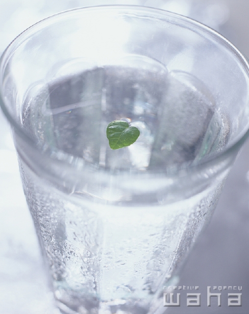 物 屋外 ハイアングル アップ 飲む ガラスコップ グラス 食器 水 透明感 水滴 涼しい フォト作品紹介 イラスト 写真のストックフォトwaha ワーハ カンプデータは無料