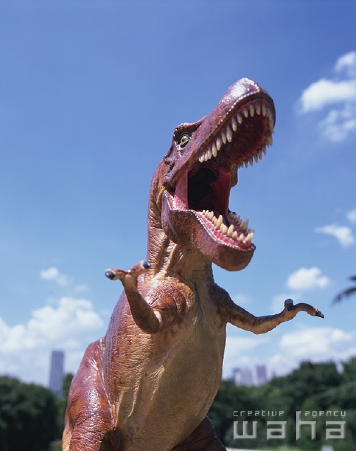 物 屋外 正面 上半身 ローアングル ティラノサウルス 恐竜 フィギュア おもちゃ 青空 屋外 吠える フォト作品紹介 イラスト 写真のストックフォトwaha ワーハ カンプデータは無料