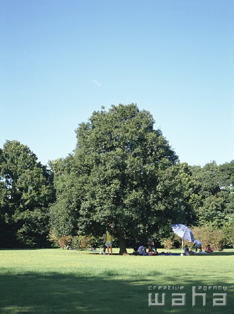 イラスト＆写真のストックフォトwaha（ワーハ）　公園、夏、屋外、風景、休憩、草原、散歩、青空、楽しい、レジャー、ピクニック、遊ぶ、清涼感、あそぶ、あそび、遊ぶ、遊び、季節、四季　p2-2543a