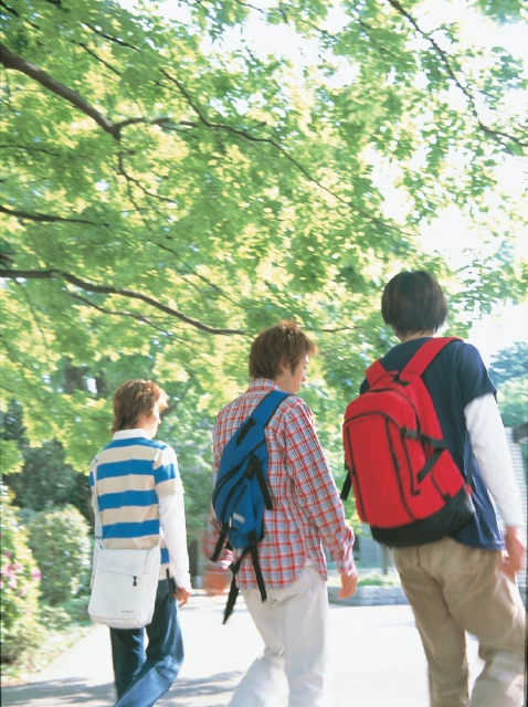 人物 日本人 男性 若者 10代 代 学生 大学生 3人 友達 仲間 屋外 学校 大学 キャンパス 話す 上半身 後ろ姿 後姿 後ろ姿 うしろ姿 背中 フォト作品紹介 イラスト 写真のストックフォトwaha ワーハ カンプデータは無料