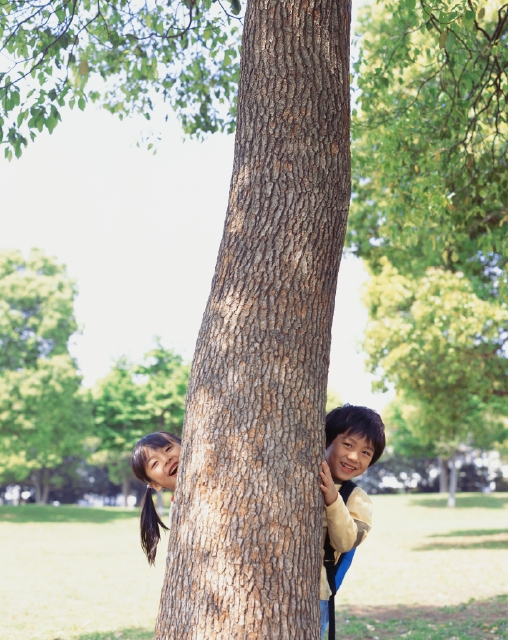 イラスト＆写真のストックフォトwaha（ワーハ）　人物、日本人、子供、小学生、女の子、1人、屋外、公園、遊ぶ、木、上半身、正面、あそぶ、あそび、遊ぶ、遊び　p3-0853b