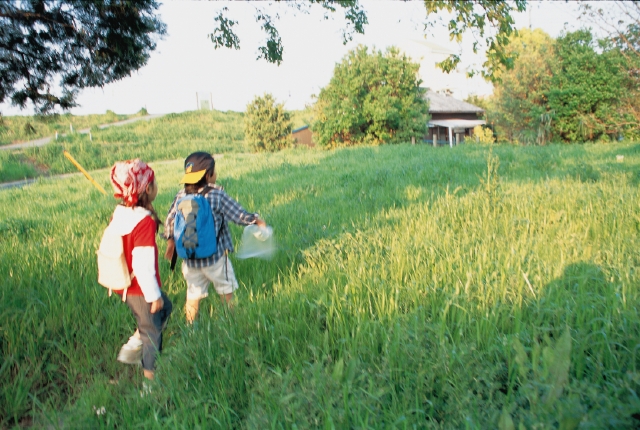 イラスト＆写真のストックフォトwaha（ワーハ）　人物、日本人、子供、小学生、男の子、女の子、2人、屋外、草原、遊ぶ、後ろ姿、あそぶ、あそび、遊ぶ、遊び、後姿、後ろ姿、うしろ姿、背中　p3-0894b