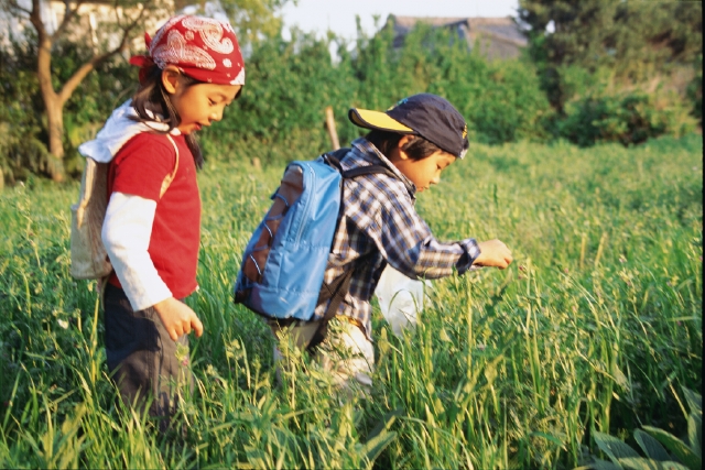 イラスト＆写真のストックフォトwaha（ワーハ）　人物、日本人、子供、小学生、男の子、女の子、2人、屋外、草原、遊ぶ、上半身、あそぶ、あそび、遊ぶ、遊び　p3-0895bv