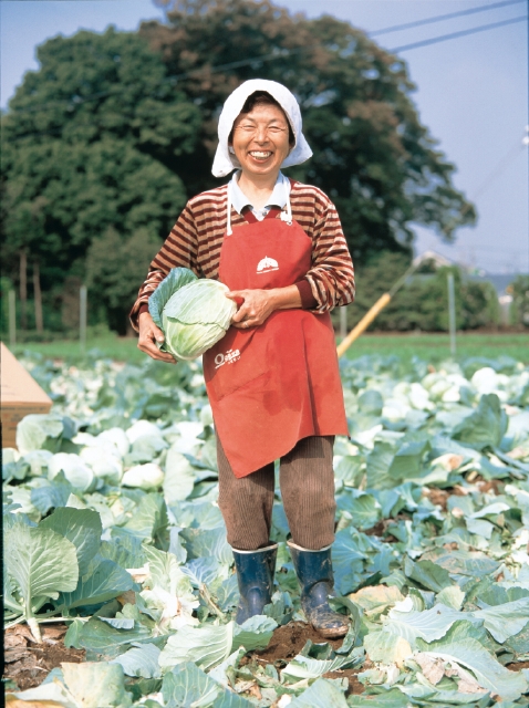 人物 日本人 50代 60代 職業 農業 農家 女性 1人 屋外 畑 働く 収穫 野菜 キャベツ 正面 全身 仕事 フォト作品紹介 イラスト 写真のストックフォトwaha ワーハ カンプデータは無料