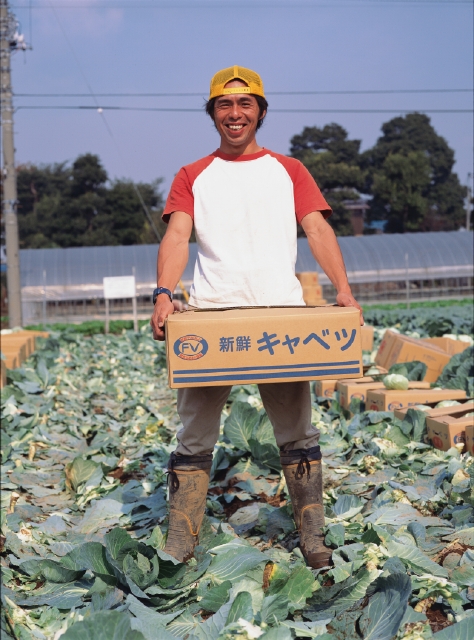人物 日本人 30代 40代 職業 農業 農家 男性 1人 屋外 畑 働く 収穫 野菜 キャベツ 正面 全身 仕事 フォト作品紹介 イラスト 写真のストックフォトwaha ワーハ カンプデータは無料
