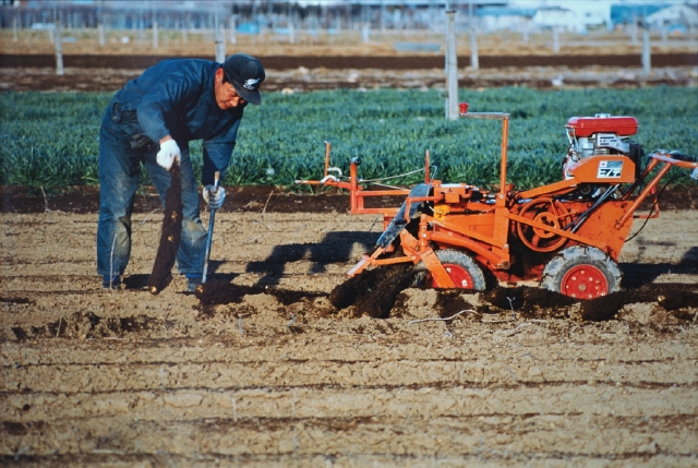 人物 日本人 30代 40代 職業 農業 農家 男性 1人 屋外 畑 働く 全身 仕事 フォト作品紹介 イラスト 写真のストックフォトwaha ワーハ カンプデータは無料
