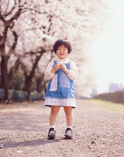 人物 日本人 子供 春 屋外 正面 全身 ポートレート 無邪気 屋外 散歩 季節 四季 子ども こども 桜 さくら サクラ 花 フォト作品紹介 イラスト 写真のストックフォトwaha ワーハ カンプデータは無料