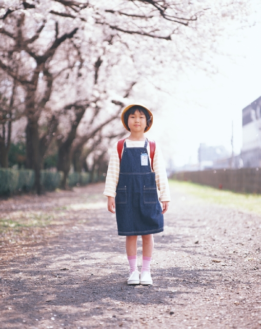 イラスト＆写真のストックフォトwaha（ワーハ）　人物、日本人、小学生、学生、春、屋外、正面、全身、ポートレート、一年生、入学、出発、希望、ランドセル、登校、登下校、通学、朝、緊張感、季節、四季、行事、桜、さくら、サクラ、花　p4-0901bv