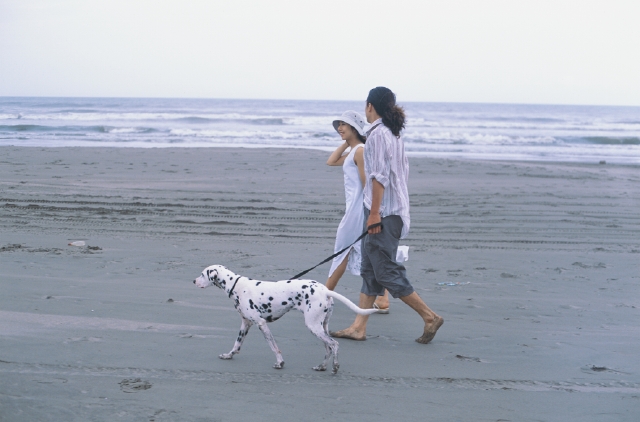 イラスト＆写真のストックフォトwaha（ワーハ）　人物、日本人、夫婦、ペット、散歩、屋外、2人、男性、女性、横向き、横顔、全身、砂浜、水平線　p4-1279b