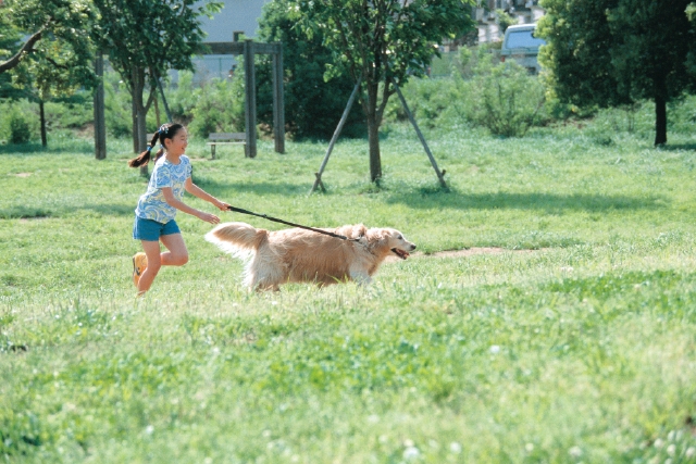 人物 日本人 散歩 公園 子供 ペット 屋外 横向き 横顔 全身 遊ぶ 走る あそぶ あそび 遊ぶ 遊び 子ども こども フォト作品紹介 イラスト 写真のストックフォトwaha ワーハ