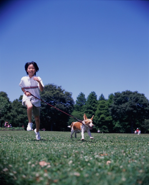 イラスト＆写真のストックフォトwaha（ワーハ）　人物、日本人、ペット、子供、公園、走る、屋外、正面、全身、森、緑、リード、引っ張る、楽しい、散歩、青空、大地、駆けっこ、駆け足、子ども、こども　p5-0098b