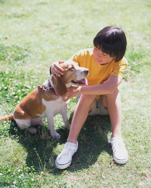 イラスト＆写真のストックフォトwaha（ワーハ）　人物、日本人、子供、公園、コミュニケーション、ペット、屋外、正面、全身、逆光、座る、なでる、幸福感、散歩、休憩、スニーカー、日光浴、舌を出す、嬉しい、子ども、こども　p5-0103b