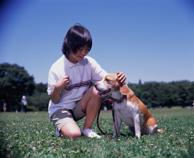 イラスト＆写真のストックフォトwaha（ワーハ）　人物、日本人、子供、公園、ペット、屋外、正面、全身、横顔、座る、なでる、見つめる、散歩、休憩、日光浴、青空、子ども、こども　p5-0104bv