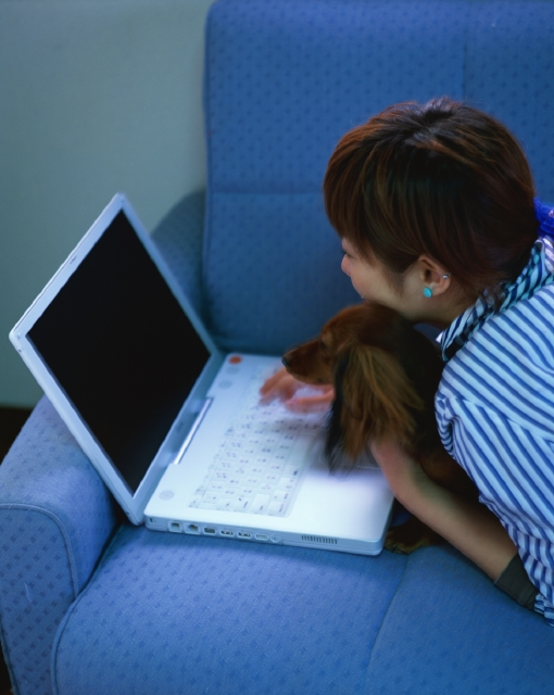 人物 日本人 パソコン 若者 ペット 若者1人暮らし 屋内 横向き 横顔 上半身 女の子 女性 ソファ 犬 ノートパソコン フォト作品紹介 イラスト 写真のストックフォトwaha ワーハ カンプデータは無料