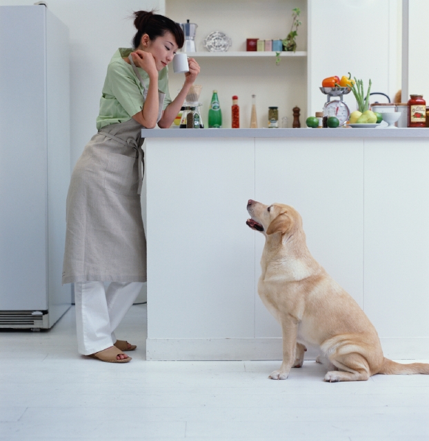 イラスト＆写真のストックフォトwaha（ワーハ）　ペット、主婦、キッチン、屋内、横向き、横顔、全身、犬、野菜、リラックス、ゆとり、お茶、カップ、飲む、住宅、マンション、家　p7-0086b