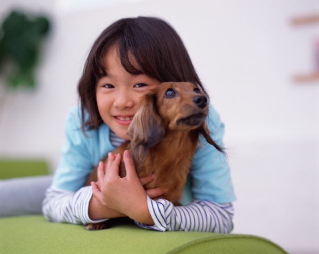 人物 日本人 ペット 子供 屋内 正面 上半身 ポートレート 犬 抱く 友達 リビング 屋内 部屋 居間 子ども こども フォト作品紹介 イラスト 写真のストックフォトwaha ワーハ カンプデータは無料