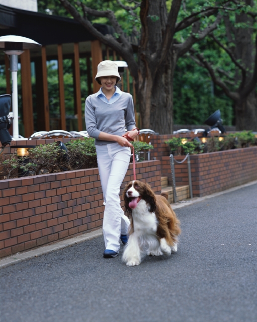 人物 日本人 ペット 街 女性 代 30代 散歩 屋外 正面 全身 犬 歩く 街並み 街並 フォト作品紹介 イラスト 写真のストックフォトwaha ワーハ カンプデータは無料