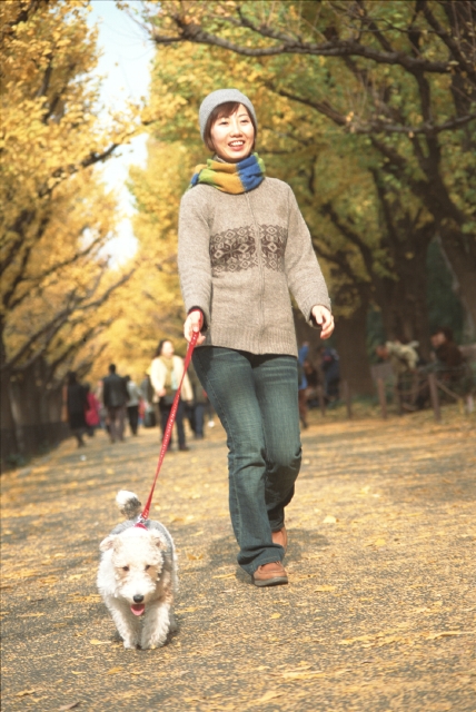 イラスト＆写真のストックフォトwaha（ワーハ）　人物、日本人、ペット、散歩、秋、女性、20代、30代、屋外、正面、全身、犬、マフラー、歩く、公園、落ち葉、季節、四季、季節、四季　p8-0090bv